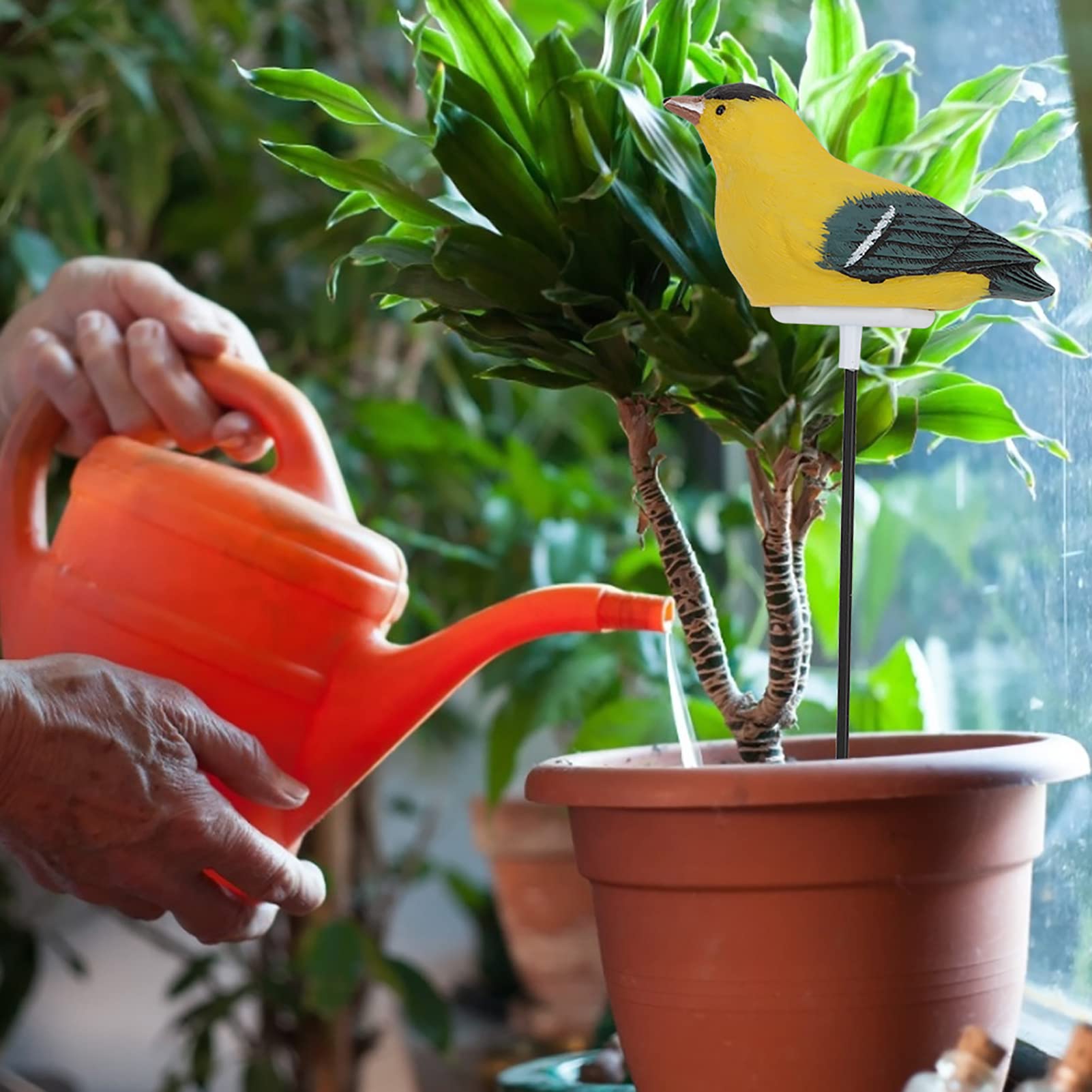 Testeur De Sol 4 En 1 PH, Température, Humidité, Éclairement - Thermomètre Numérique Pour