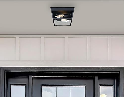 Miniatura 4 de Westinghouse 6121900 Peterson - Lámpara de techo transitoria con dos luces, acabado negro texturizado, cristal transparente