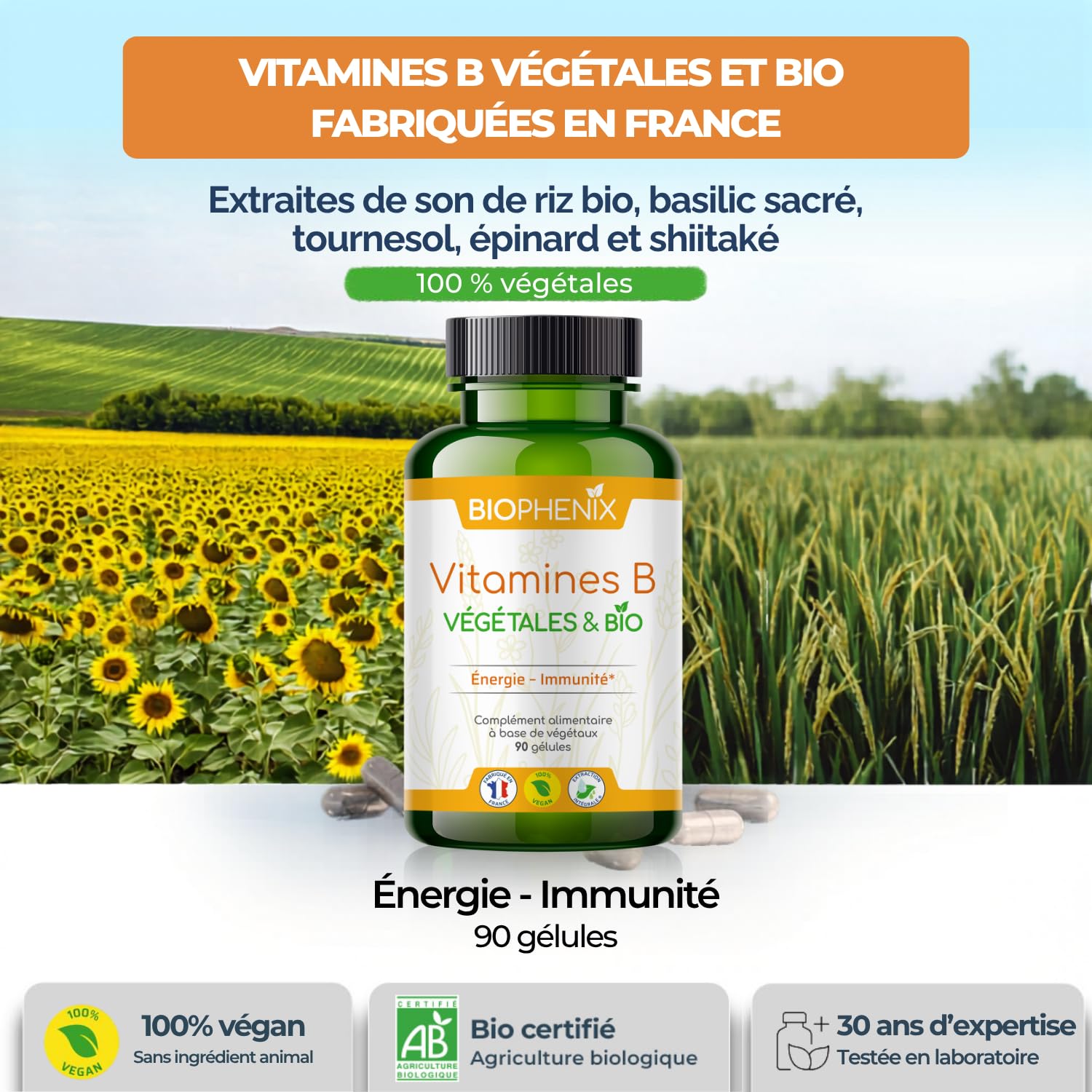 Biophénix - Vitamines B Bio 90 Gélules - 100% Naturel à Base de Végétaux - Énergie, Vitalité & Système Nerveux - Vitamines B1, B2, B3, B5, B6, B8, B9 et B12 - Fabriqué en France - Vegan