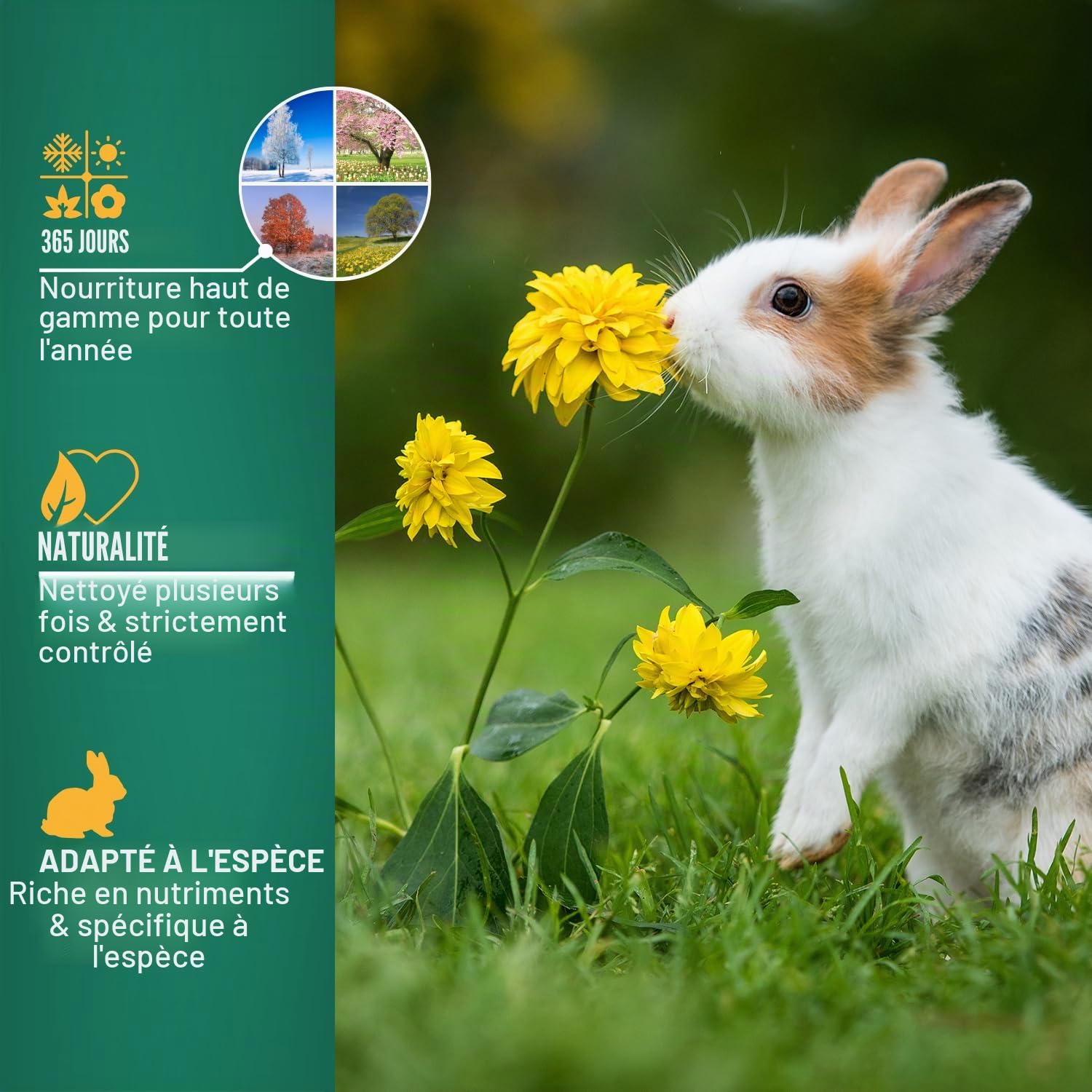 Agrarzone Nourriture pour Lapins en granulés 25 kg - Nourriture pour Lapins, Lapins Nains, lièvres - Nourriture Riche en nutriments pour Petits Animaux - Certifiée AMA, sans OGM