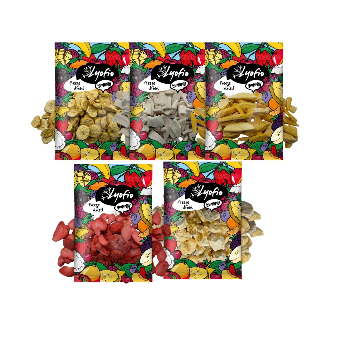 Lyopro Gefriergetrockneter Fruchtmix 500 g (5 x 100 g) – Mango, Erdbeere, Banane, Ananas & Kokos – 100% Frucht, Ohne Zuckerzusatz, Knuspriger Snack, Vegan & Glutenfrei