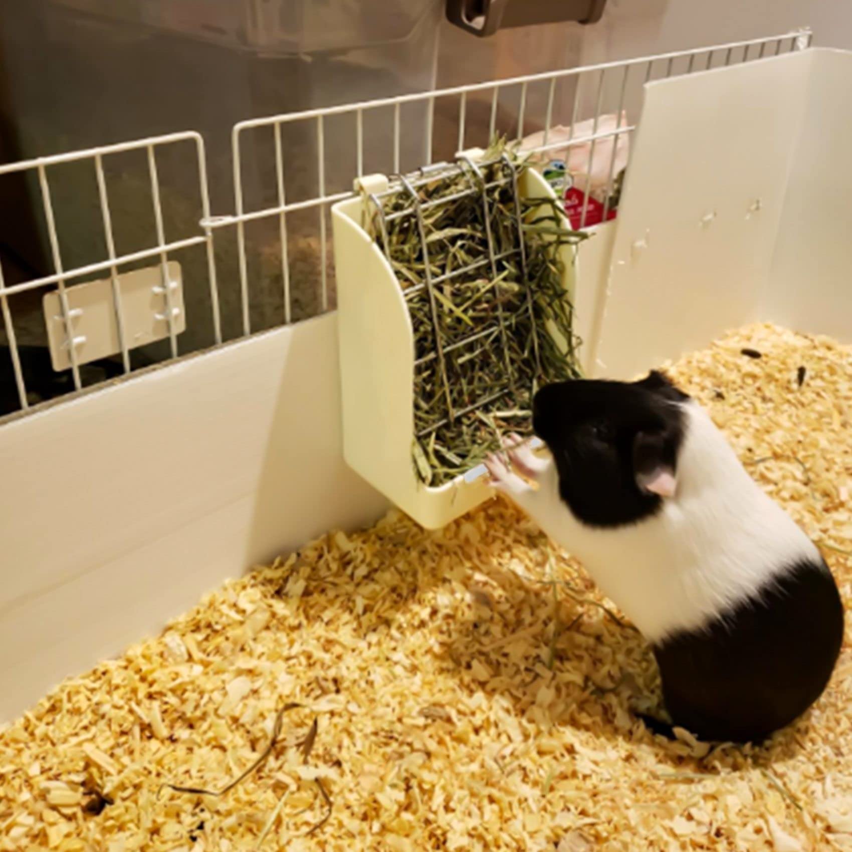 Jkjhbhged Rabbit Grass Frame Hay Feeder Manger Rack for Rabbit Guinea Pig Fixed Flip-Up Holder Grass Basket Small Pet, White