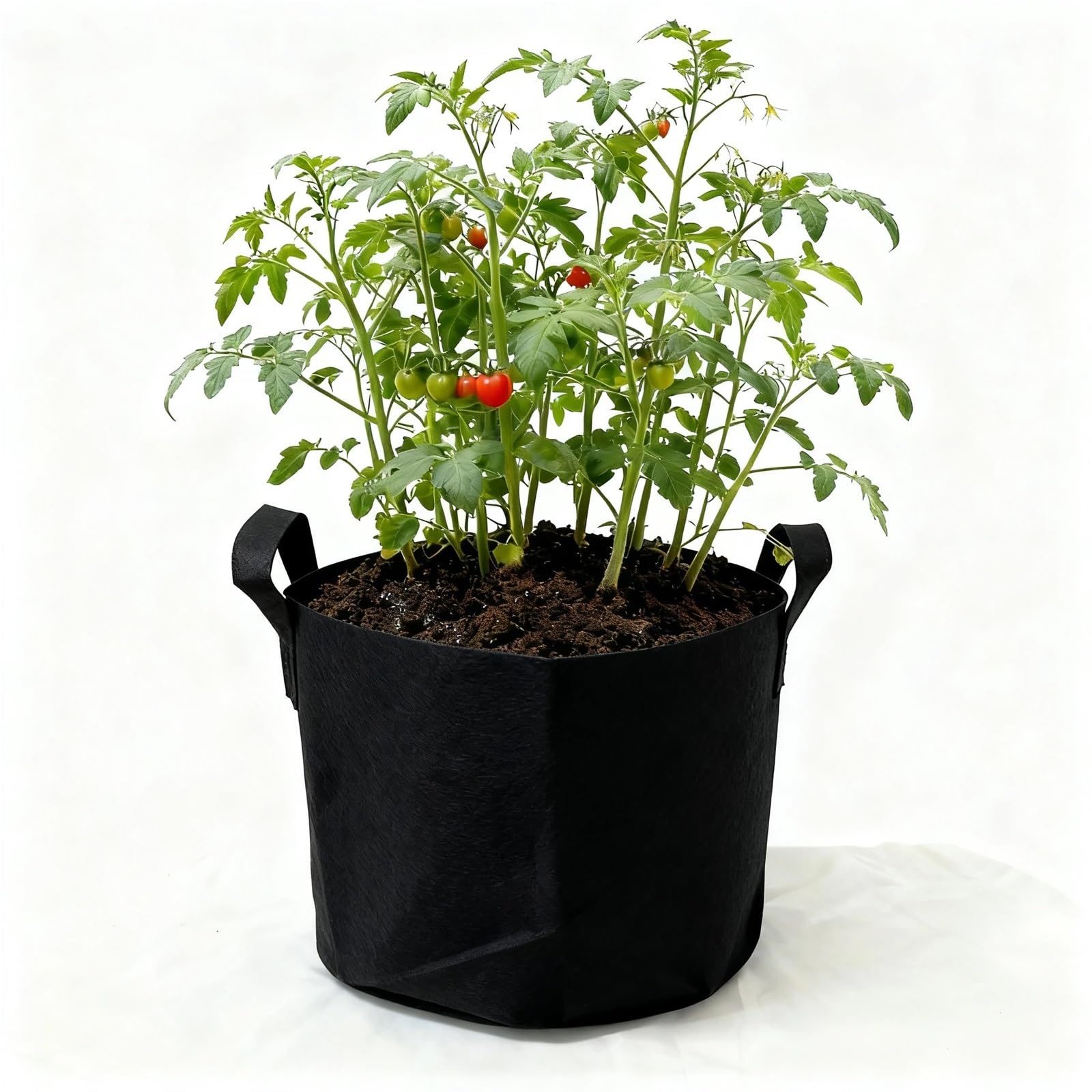 GIYXHU 10 Gallon Grow Bags For Vegetable/Flower/Plant, 5 Aeration Fabric Pots With Handles Cloth For Plants Garden Gift for Flowers Vegetables(Black,1Gallon)