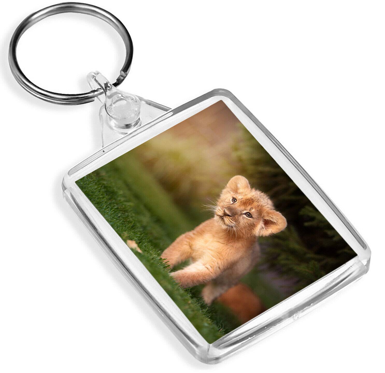 Destination Vinyl Keyrings Unisex Infant Multi Lion Cub Keyring Wild Baby Animal Africa Cute Kids Keyring #15785