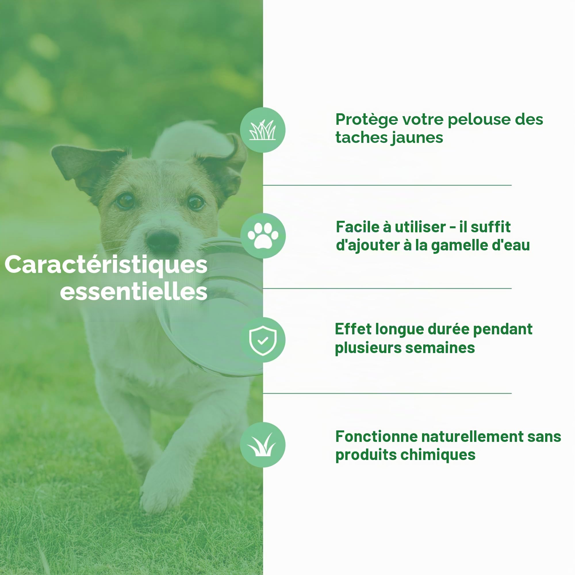 Dog Rocks Urvent Patch Patch Prévention 600g
