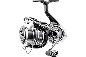 DAIWA TATULA MQ: Affordable Engineering Marvel