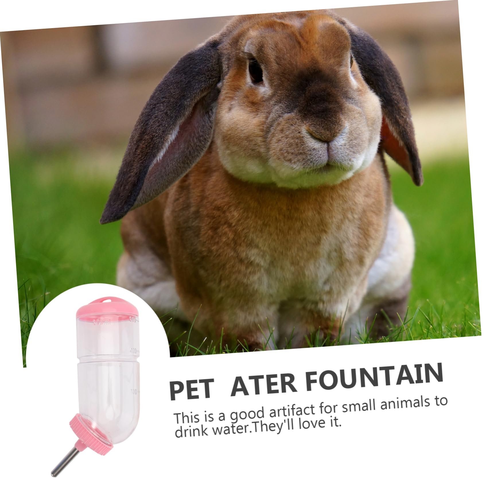 INOOMP 6pièces Bouteille Eau pour Animaux Abreuvoir à Créatif pour Rongeurs Et Petits Animaux De Couleur Aléatoire