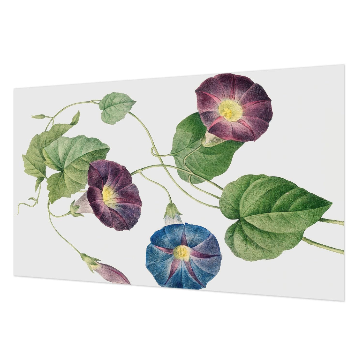 Papier peint intissé 416x254 cm avec motif élégance florale pour salon