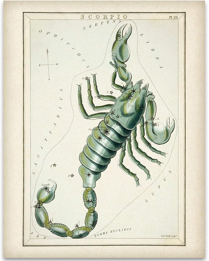 Astrology Posters - Scorpio Zodiac Antique Constellation Plate - 11x14 Unframed Art Print - Great Vintage Zodiac Poster, Astrology and Aptitude Vintage Home Wall Decor for Astrology Enthusiasts