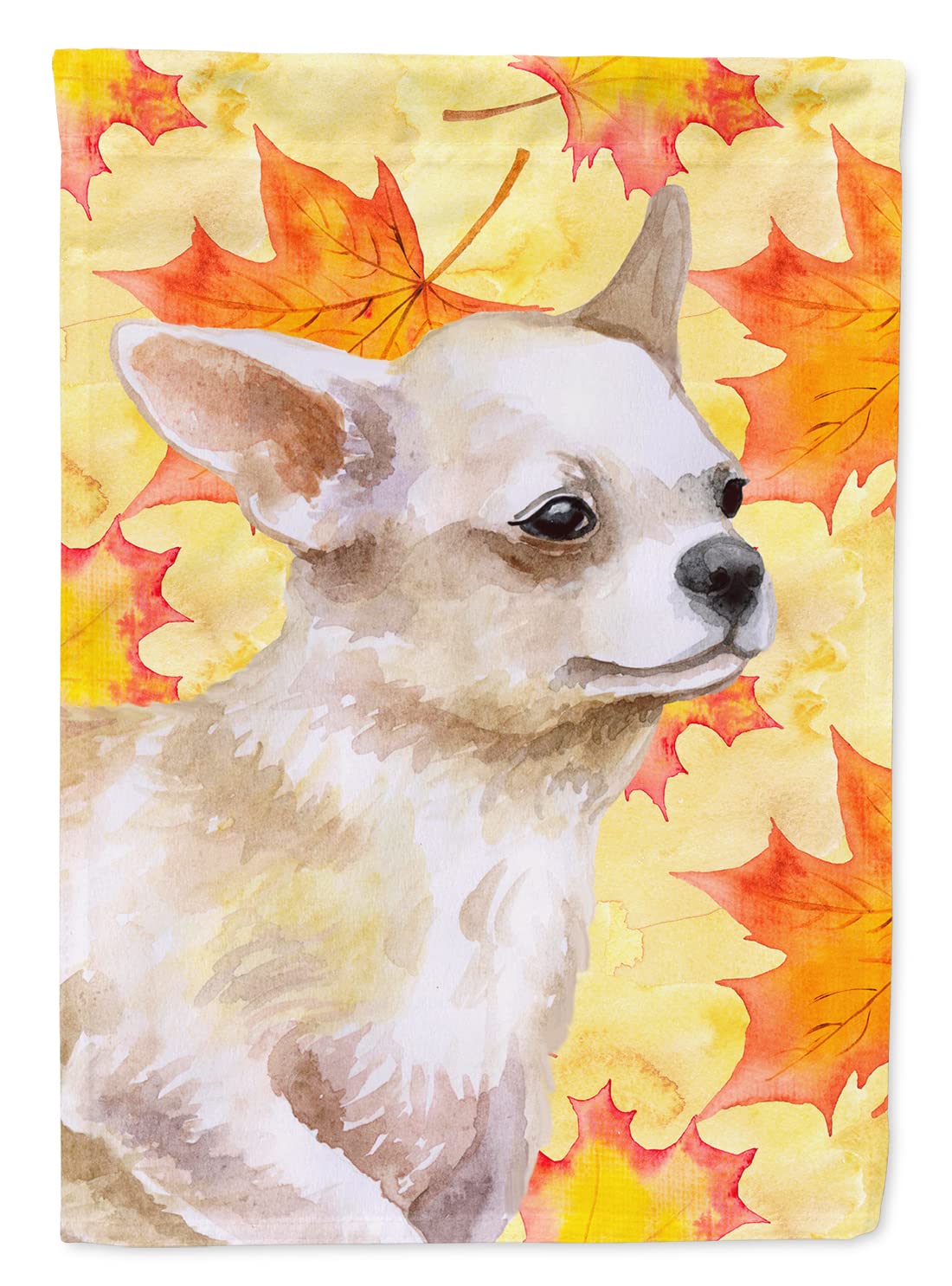 Grand drapeau Chihuahua automne extérieur multicolore en toile Large