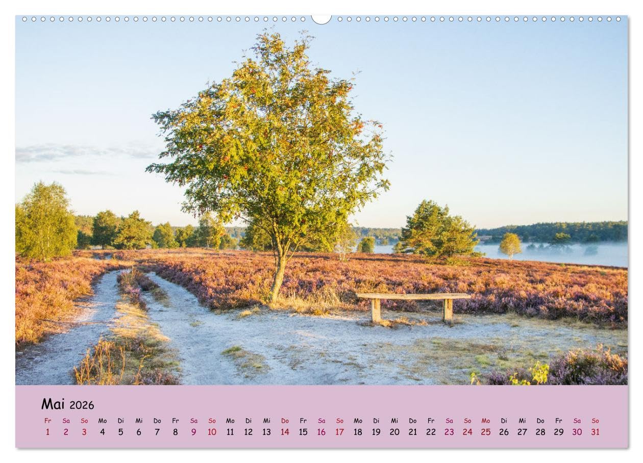 Lüneburger Heide Wege (hochwertiger Premium Wandkalender 2026 DIN A2 quer), Kunstdruck in Hochglanz: Einzigartige Heidelandschaft erleben (CALVENDO Natur)