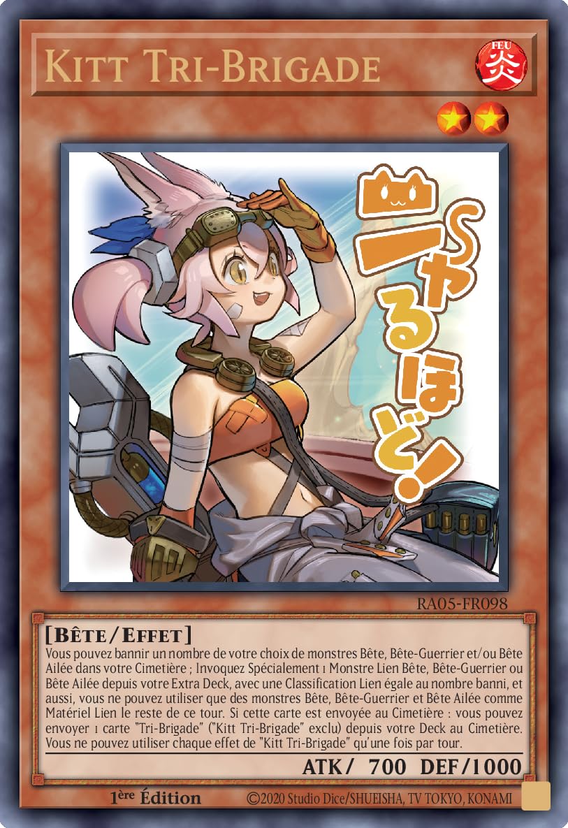 Yu-Gi-Oh! Boite de 24 boosters Collection Rareté V - Jeu de Cartes à Jouer - 120 Cartes - À partir de 6 Ans - 1ère édition française