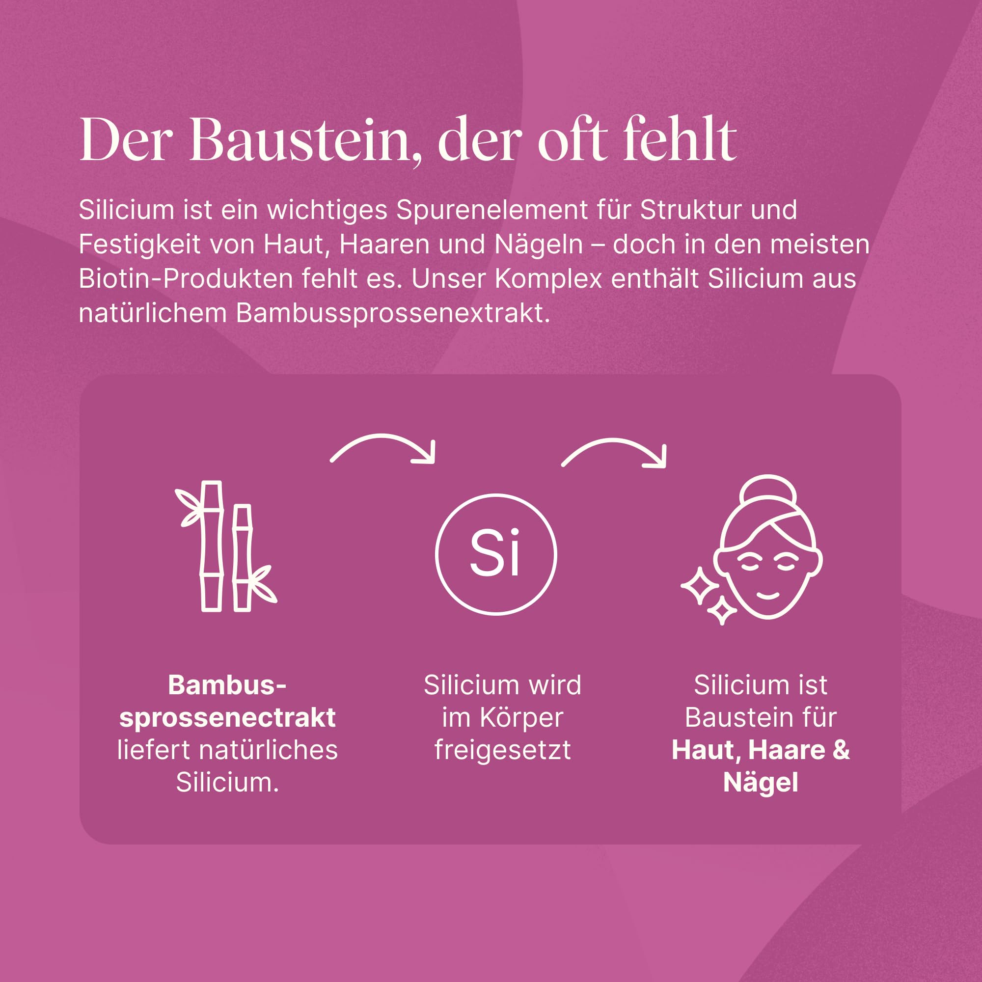 VETAIN Biotin Zink Selen Komplex - Mit Silizium & Vitamin B5-120 Kapseln - hochdosiert mit 5.000µg Biotin - Für Haare, Haut & Nägel - vegan & ohne Magnesiumstearat - 2er Set
