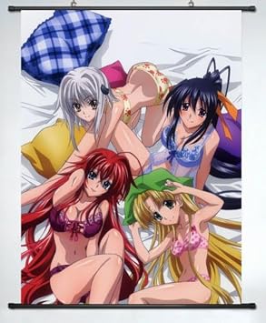 Anime family Home Decor Anime Wall Scroll Poster High School DxD 4 Girls Bikini
