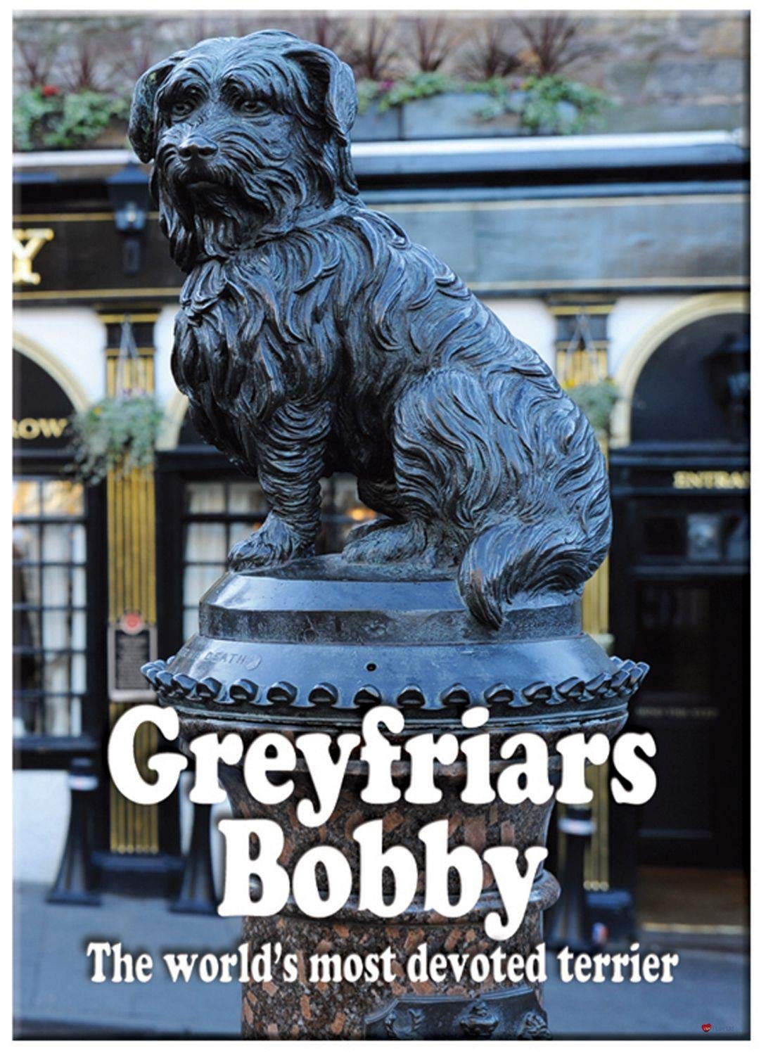 I Luv Ltd Greyfriars Bobby Dog Portrait Scenic Metallic Fridge Magnet