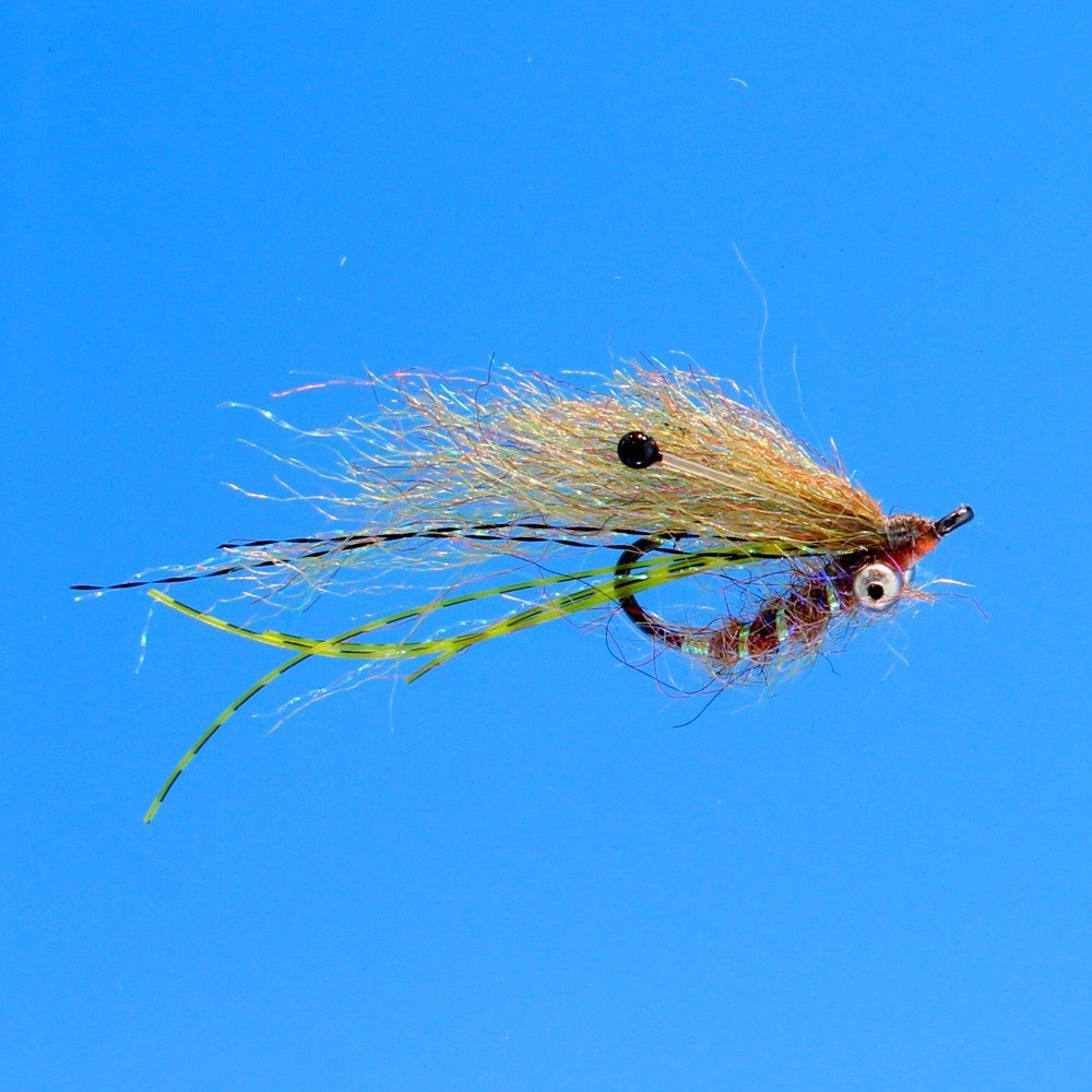 EP Ghost Shrimp BC Root Beer #6, 2 PK