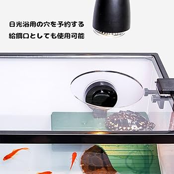 白磁亀形水注　ガラスケース入り ガラスコレクションケース クリア 4段(ブラック) | 不二貿易