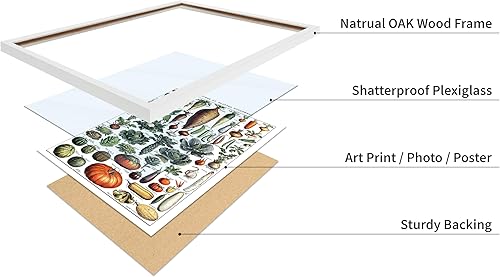 Miniatura 403 de Poster Master Póster vintage de orquídea, estampado de flores retro, arte de pared de plantas exóticas, arte botánico, regalo para hombres y