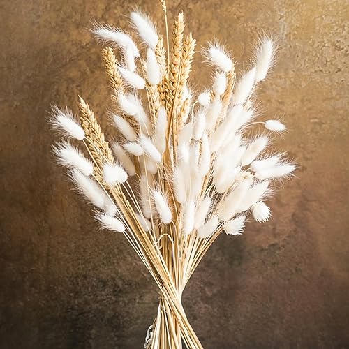 Miniatura 4 de 120 piezas de flores naturales de cola de conejo, cola de conejo de lagurus, hierba de pampas, ramo de hierba seca lagurus ovatus para arreglos