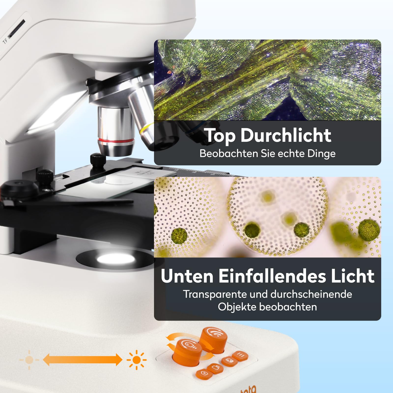 USB Digitales Mikroskop für Kinder Erwachsene, MatataStudio MT3-4 1200x Professionelles Biologisches Mikroskop mit 7" 1080P Bildschirm Beweglicher Tisch Messschieber 5MP für Schule Labor