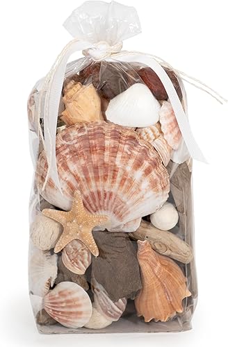 ANDALUCA Seashells, Starfish Driftwood Fragancia Potpourri florero y cuenco decorativo (Coral Beach)
