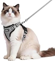 Vista 17 de rabbitgoo Cat Harness and Leash for Walking, Escape Proof Soft Adjustable Vest Harnesses for Cats, Easy Control Breathable Reflective Strips Jacket