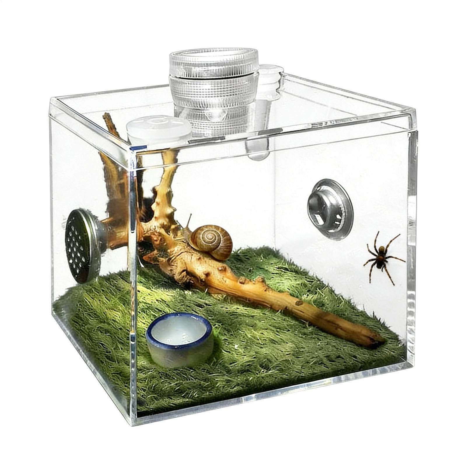 Recinto para Arañas Saltadoras, Juego De Cría De Reptiles Acrílico Transparente con Recinto, Paisaje, Dispositivo De Ventilación, Plato, Dispositivo De Iluminación para Tarántulas Arbóreas — view 8