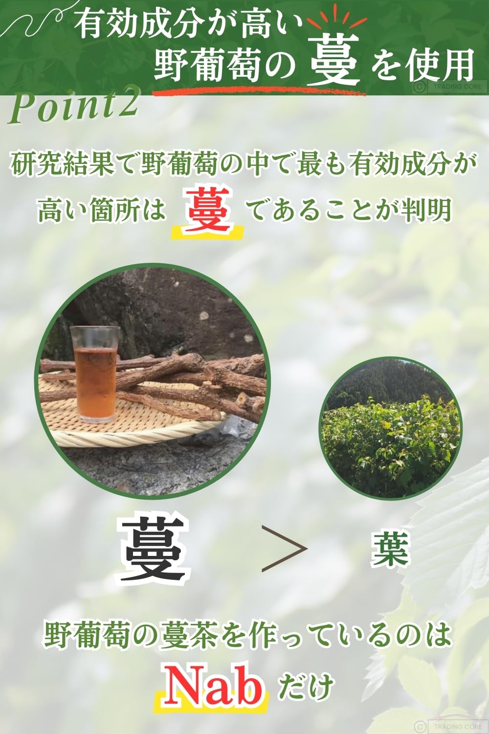Amazon.co.jp: 野葡萄茶 3g×30バッグ : 食品・飲料・お酒