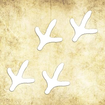 Camowraps SDE5301 Turkey Tracks- Vinyl Die Cut Decal 6" x 8" White Graphics Wrap, 1 Pack