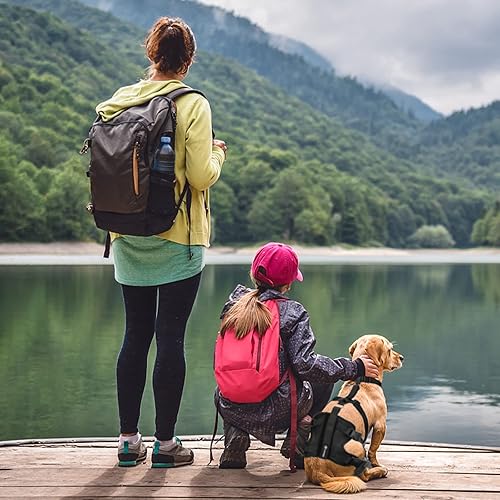 Miniatura 4 de HUAME Rodillera doble para perro, soporte para pierna trasera de ligamento cruzado anterior, rótula luxante, alivia el dolor de artritis y la