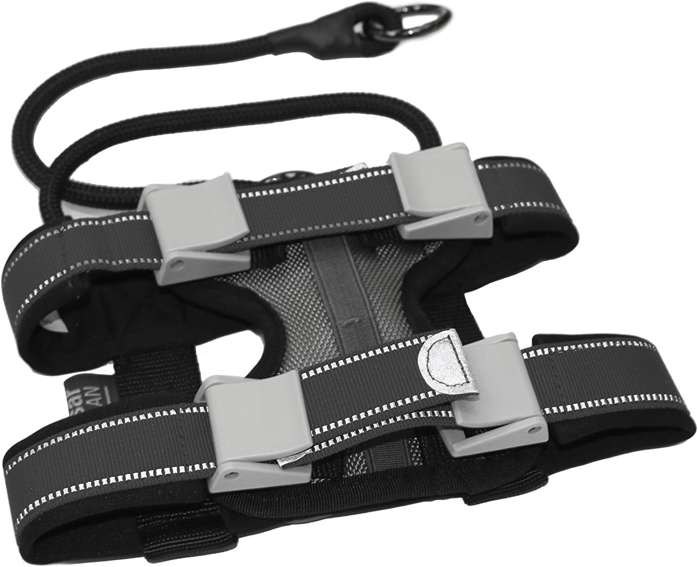 Cesar Millan Pack Leader Collar™ - Training Collar of the Dog Whisperer (Medium), Grey (Grey))