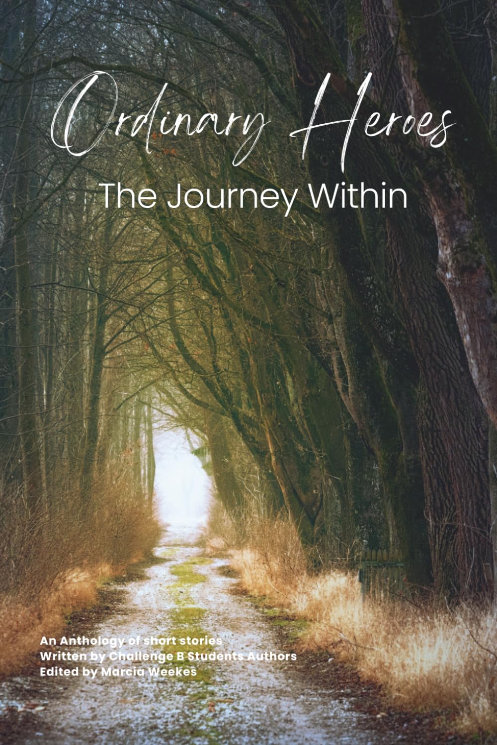Ordinary Heroes: The Journey Within