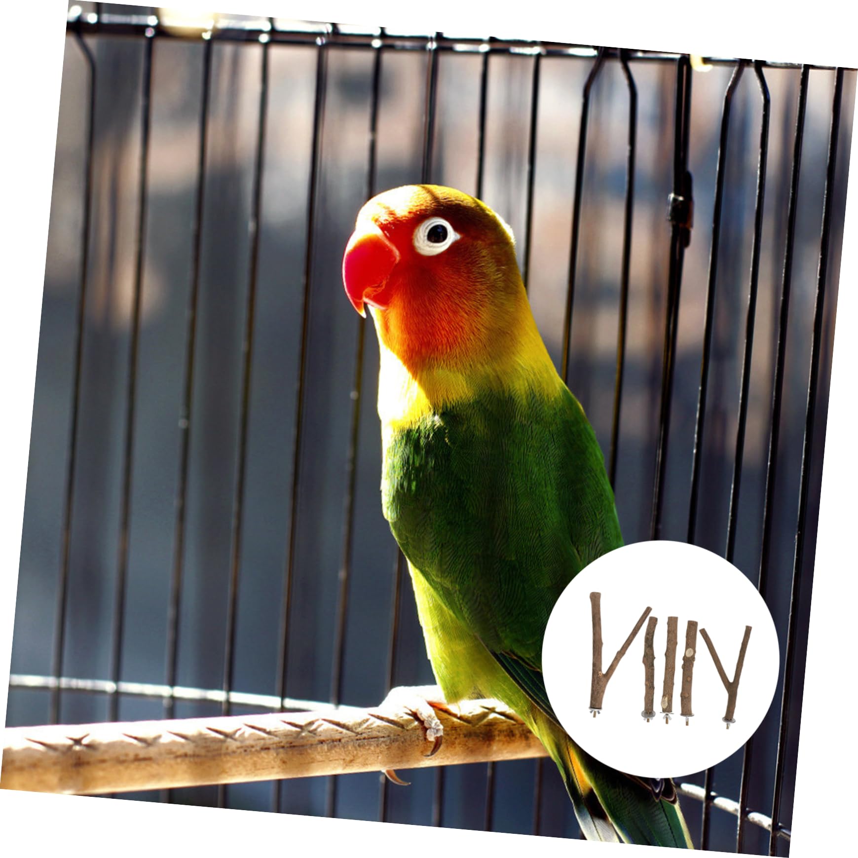 DOITOOL 5ensembles Perchoir à Oiseaux De Sèchage Naturel De Barres De Jeu pour Oiseaux avec Support Accessoires De Cage pour Perruches Et Perroquets Couleurs Aléatoires