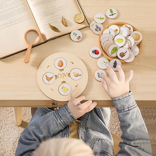 Miniatura 5 de Bandeja de juguetes de madera para el ciclo de vida, ranas para niños, mariposas, pollos, 40 piezas, tablero de rompecabezas de actividades de