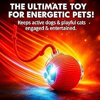 Vista 8 de Purrmitive 2026 Durable Interactive Cat Toys for Indoor Cats, Dog Toys Ball, Rolling Pet Ball, Smart Automatic Cat Chase Balls Toy, Interactive Dog
