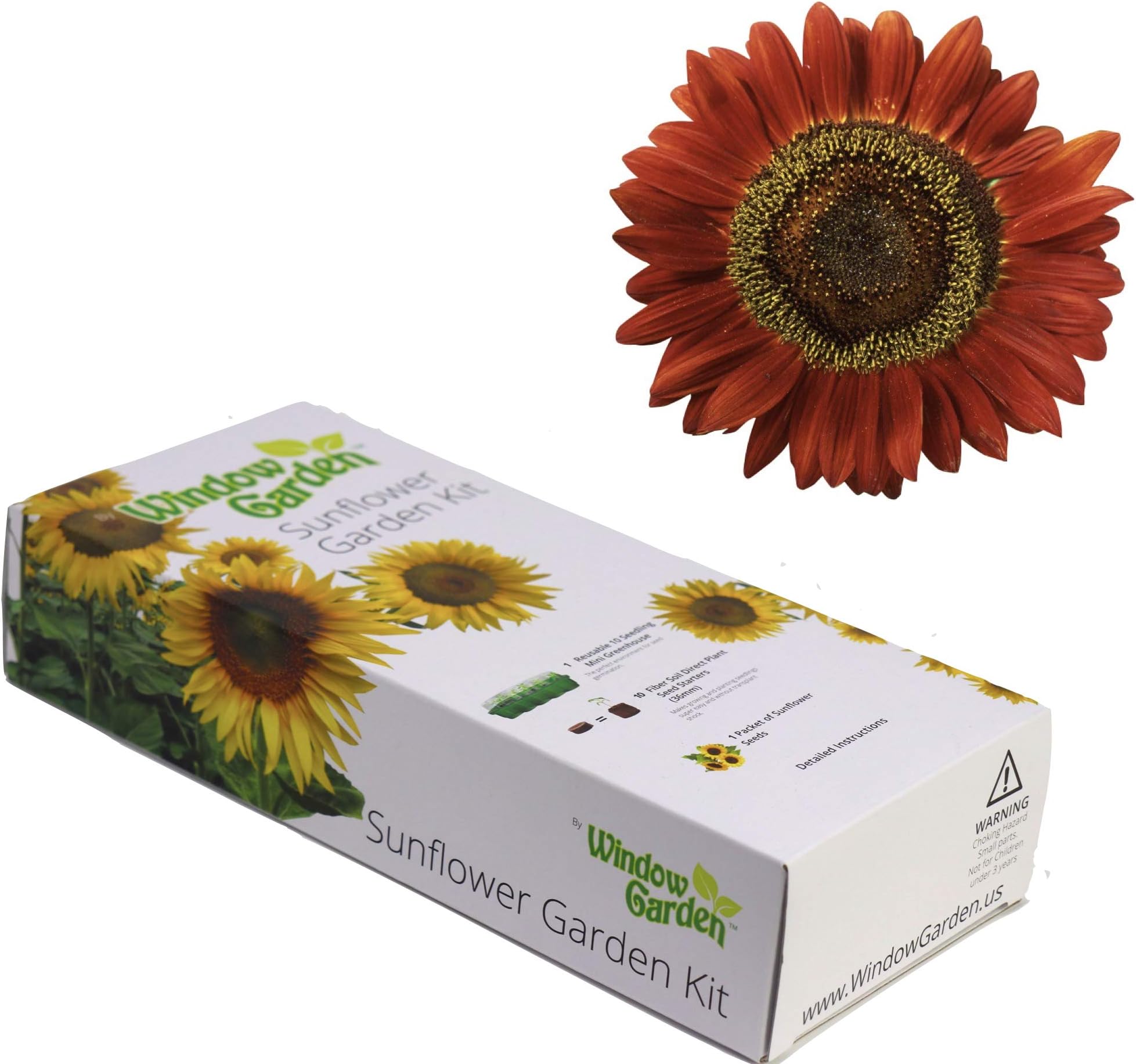 Window Garden - Evening Sun Sunflower Flower Starter Kit - Grow Beauty. Germinate Seeds on Your Windowsill Then Move to Planter or Beds. Mini Greenhouse System Make’s it Foolproof, Easy and Fun.