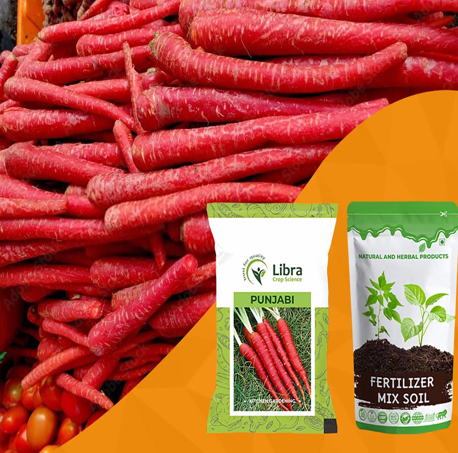 Red Carrot Seeds for Home Garden | Farming | Vegetable | Kitchen | Hybrid | Planting | Terrace | Balcony | Eating | Gajar | Cultivated Carrot | Punjabi - 25 Gram : 6878 Seed (PANJABI) (B0B2JPT129) Amazon Price History, Amazon Price Tracker
