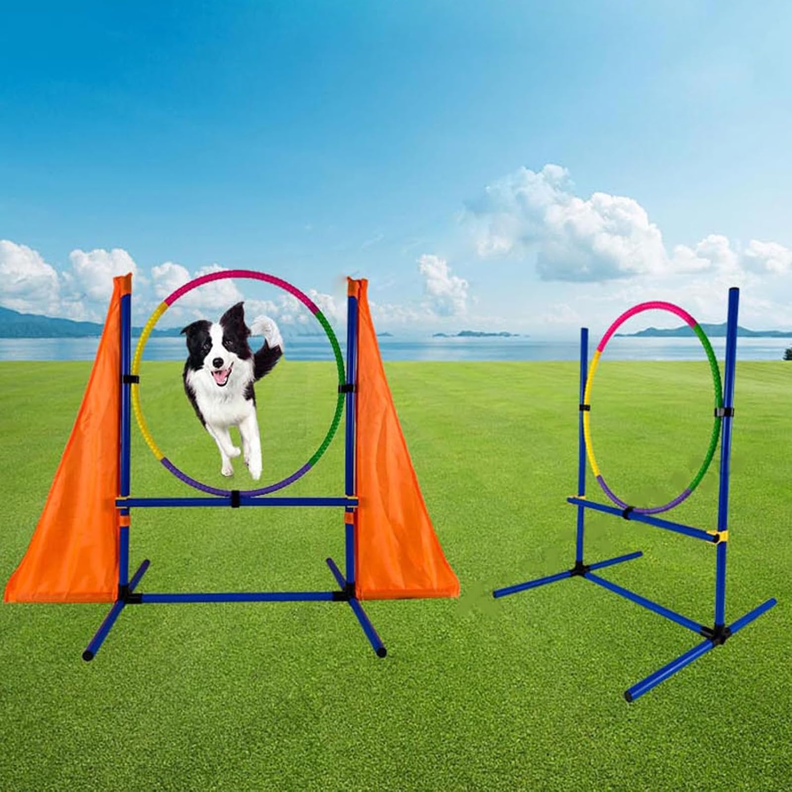 Kit de iniciación de entrenamiento de agilidad para perros con obstáculos ajustables y túnel de juego para uso en interiores y exteriores