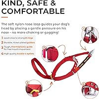 Vista 3 de Canny Collar de cabeza de perro sin tirones – Collar de entrenamiento suave para perro para tirar de la correa – Detiene tirones, fácil control