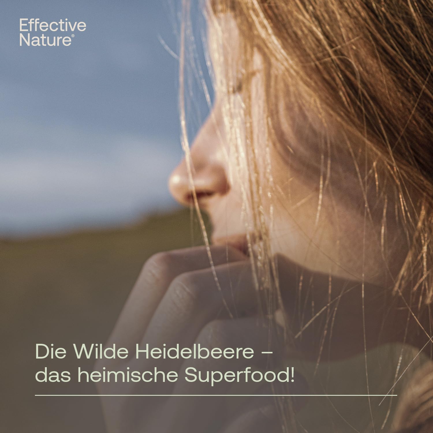 Effective Nature - Wilde Heidelbeeren Bio Pulver - Fruchtpulver in Rohkostqualität - Reich an Antioxidantien - Blaubeeren Pulver (Vaccinium myrtillus) - 200 g - vegan