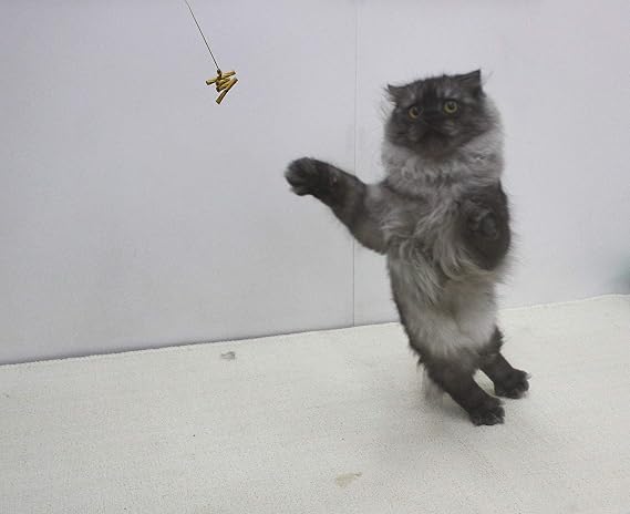 Cat Dancer 101 Cat Dancer Interactive Cat Toy, 3 Pack