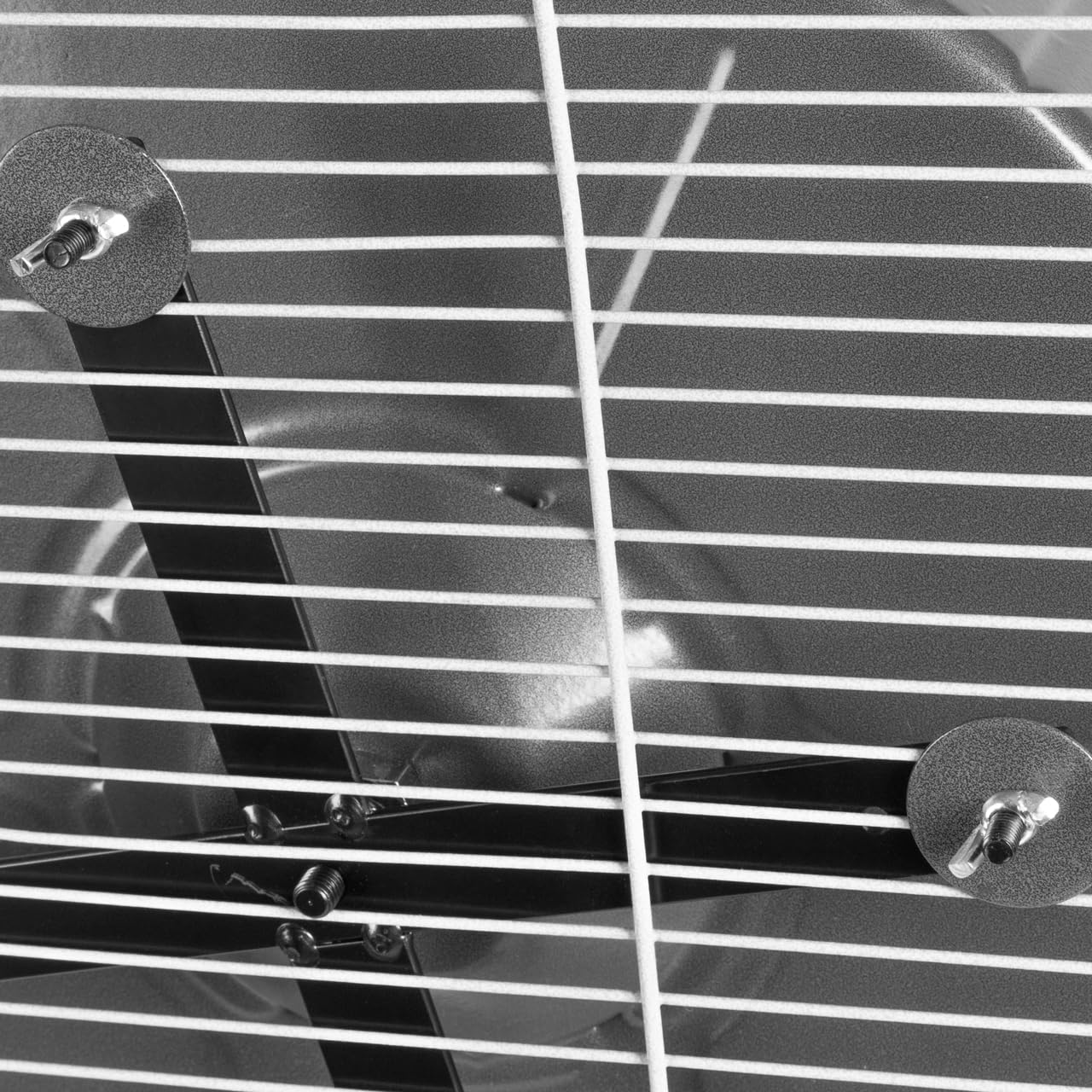 Montana Cages | Artgerechtes Metalllaufrad für Degus und Chinchillas | extra groß mit Ø 38cm