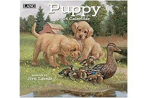 Where Paws Meet Wonder: Puppy 2024 Wall Calendar