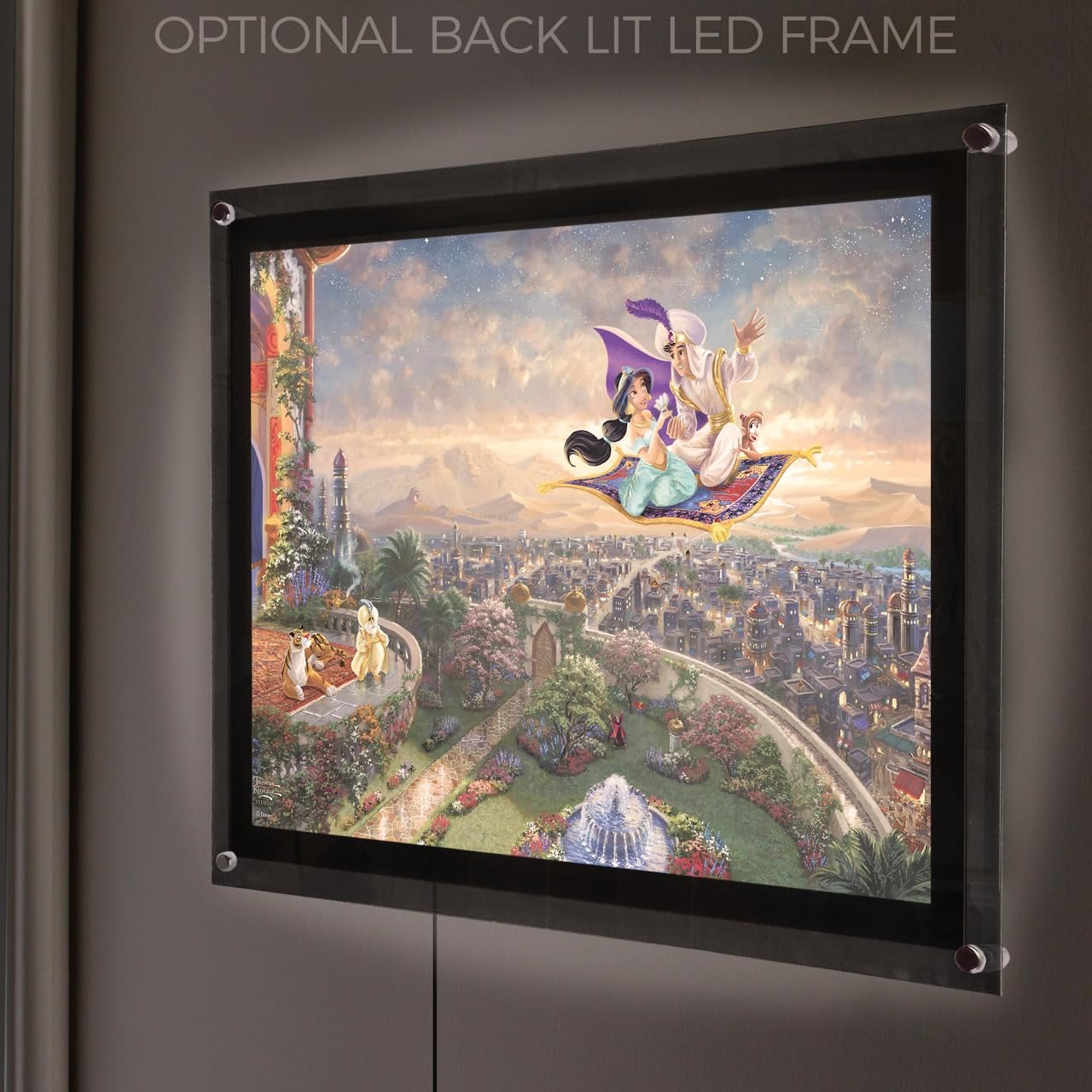 Amazon.com: MIGHTYPRINT Disney Jasmine & Aladdin Carpet Ride 24 x