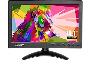 10.1 Inch Camera Video Monitor with Remote Control