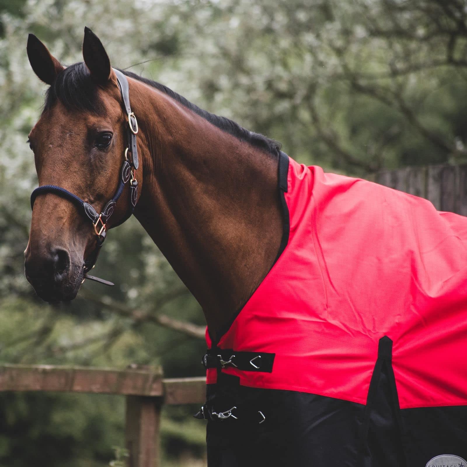 Equitack 1200D Winterdecke Pferd, 155cm | 100g Highneck Regendecke Pferd mit Fleece | wasserdichte Outdoordecke Pferd |Rot/Schwarz