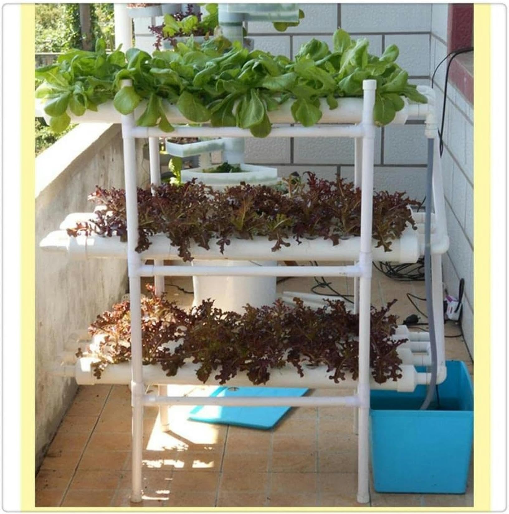 Amazon｜水耕栽培システム NFT屋内水耕栽培システム垂直植物