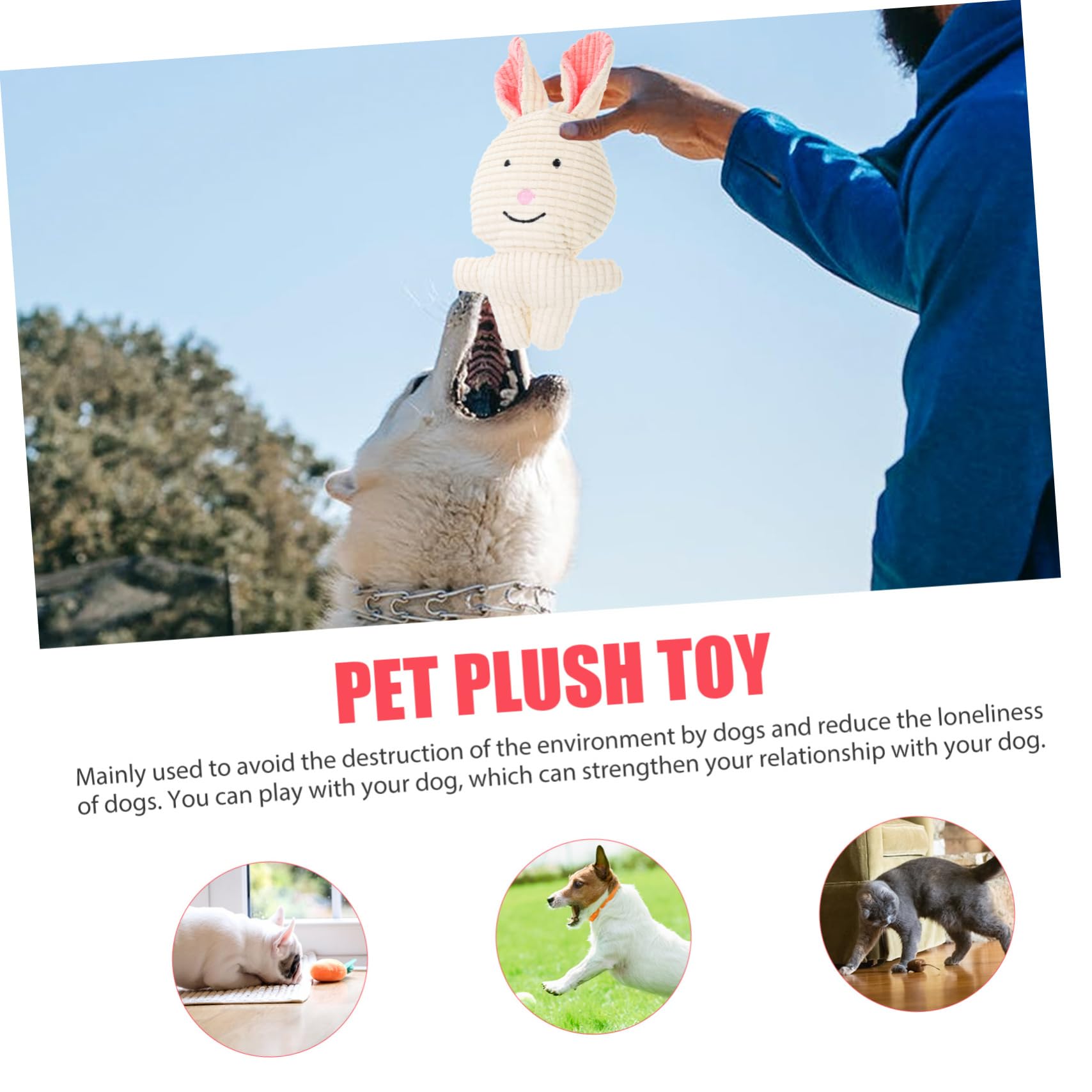 Toddmomy 5pièces Jouet à Mâcher pour Chiens Peluche Squeaky Accessoire pour Dentition Et Amusement Chiots Jouet Interactif pour Petits Et Moyens Chiens