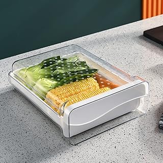 LSHDH Pudełko do przechowywania żywności na lodówce, rodzaj szuflad kuchennych, żywność owoce i warzywa, można układać w stos, pojemnik na lunch, pojemnik do przechowywania lodówki, pojemnik do przechowywania żywności plastikowe owoce (pojedyncza warstwa)