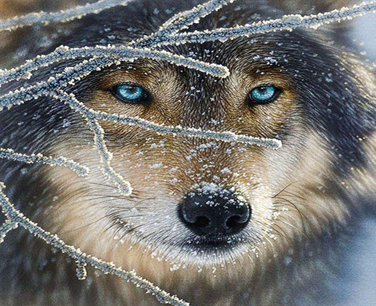 ABEUTY DIY Fabric Decorating Kits, Paint by Numbers Wolf Animal 16x20 inches Number Painting Wall Art (Wolf 1, No Frame) โ image 1